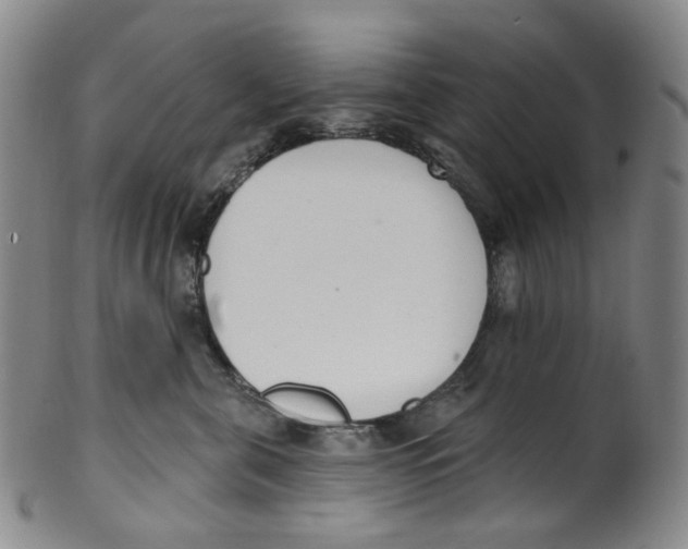 X0000100410571200806271446