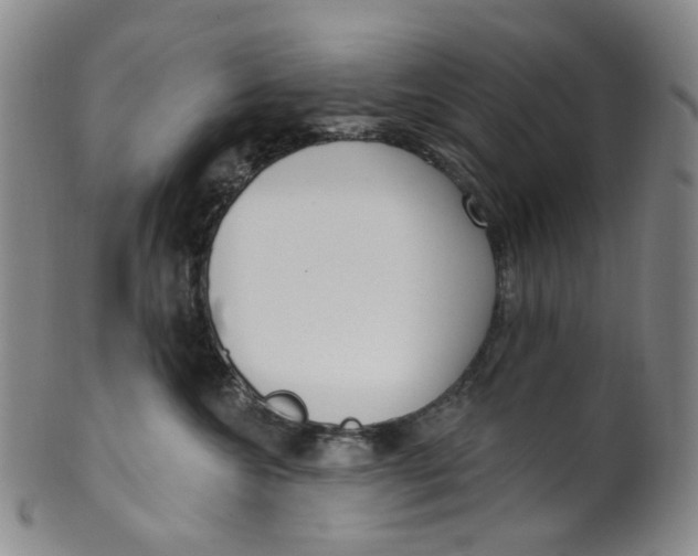 X0000100410572200806271446