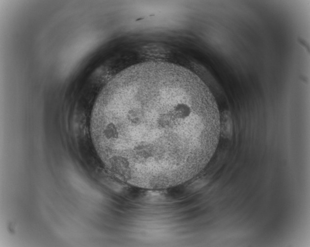 X0000100410573200806271446