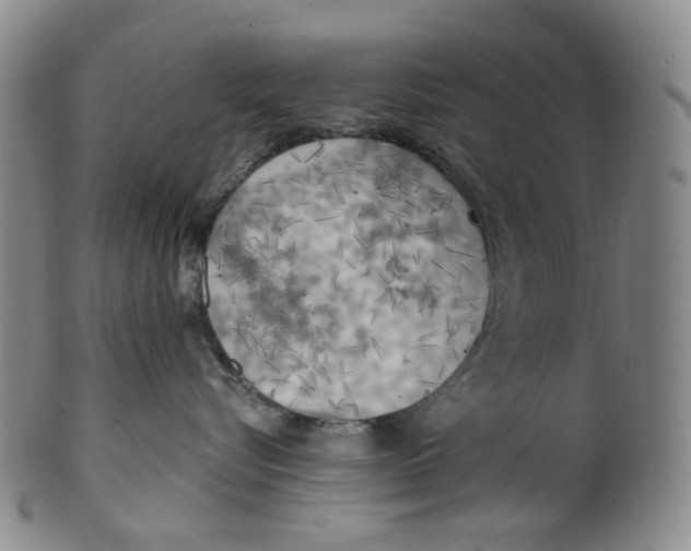 X0000100410576200806271446