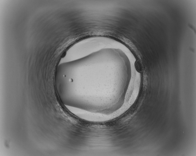 X0000100410577200806271446