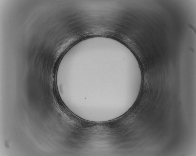 X0000100410578200806271446