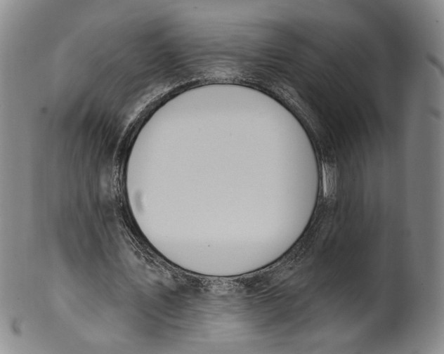 X0000100410579200806271446