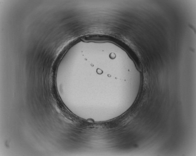 X0000100410580200806271446