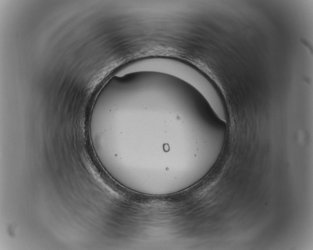 X0000100410581200806271446