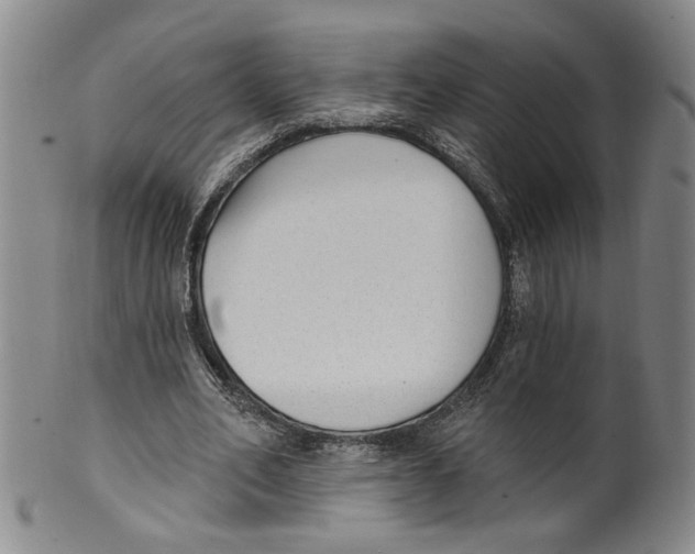 X0000100410582200806271445