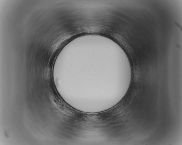 X0000100410583200806271445