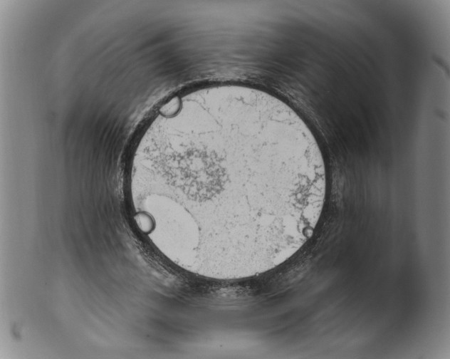 X0000100410584200806271445