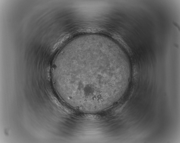 X0000100410585200806271445