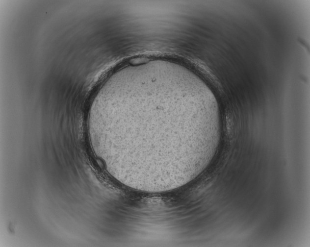 X0000100410588200806271445