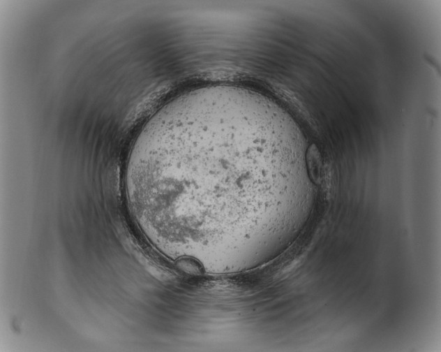 X0000100410589200806271445