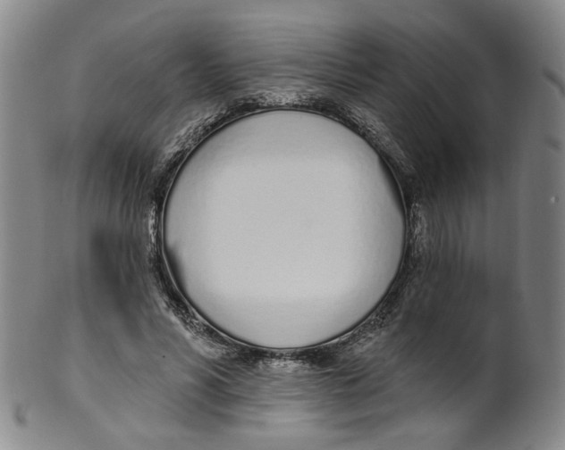 X0000100410590200806271445