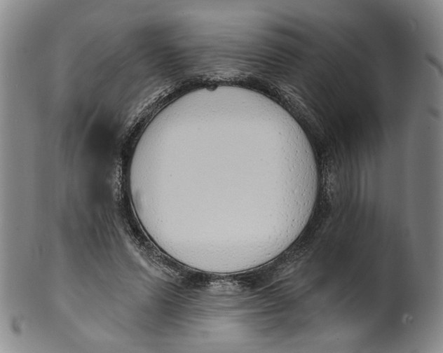 X0000100410591200806271445