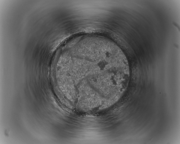 X0000100410592200806271445