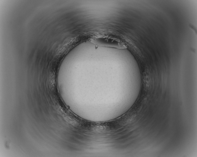 X0000100410593200806271445