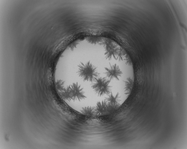 X0000100410594200806271445