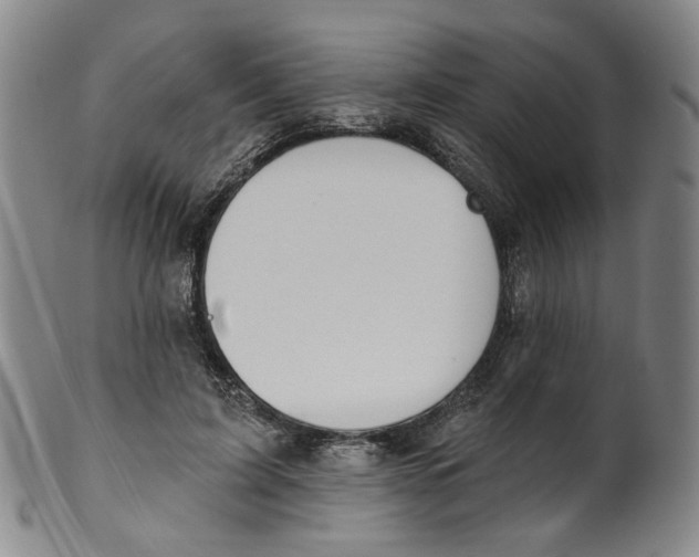 X0000100410595200806271445