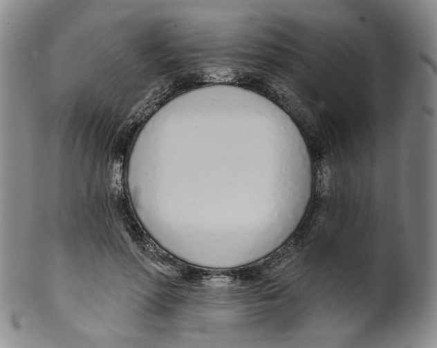 X0000100410598200806271445