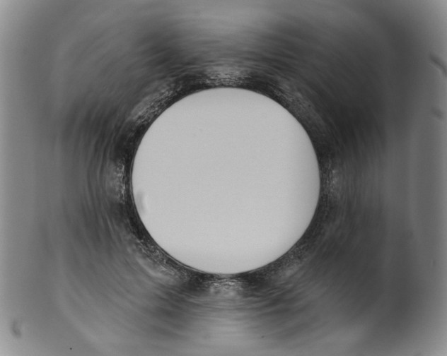 X0000100410599200806271445