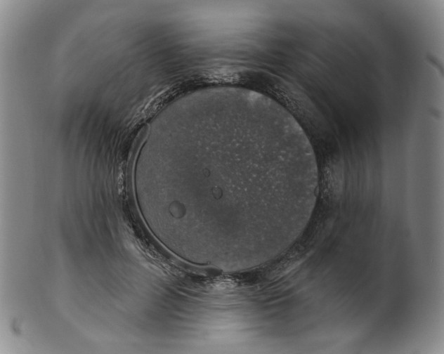 X0000100410600200806271445