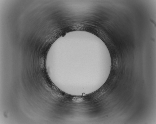 X0000100410602200806271445