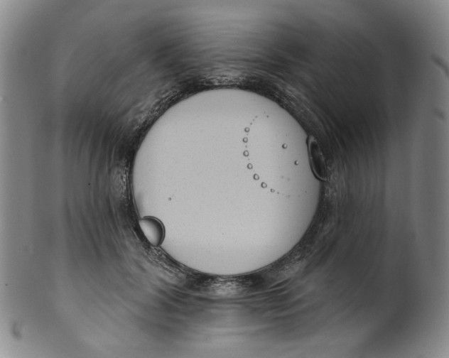 X0000100410604200806271445