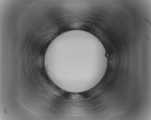 X0000100410605200806271445