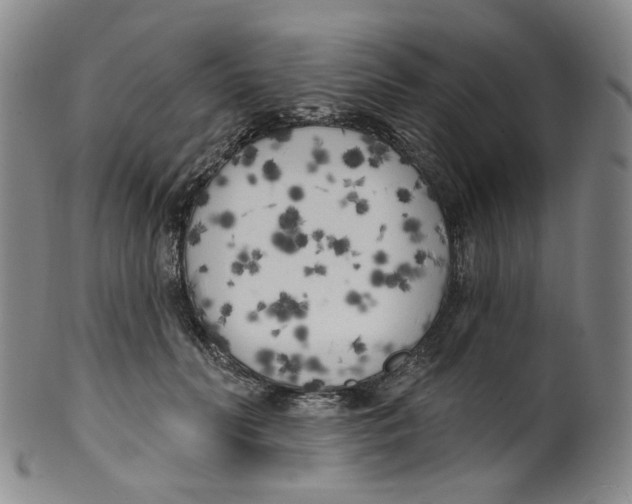 X0000100410606200806271445