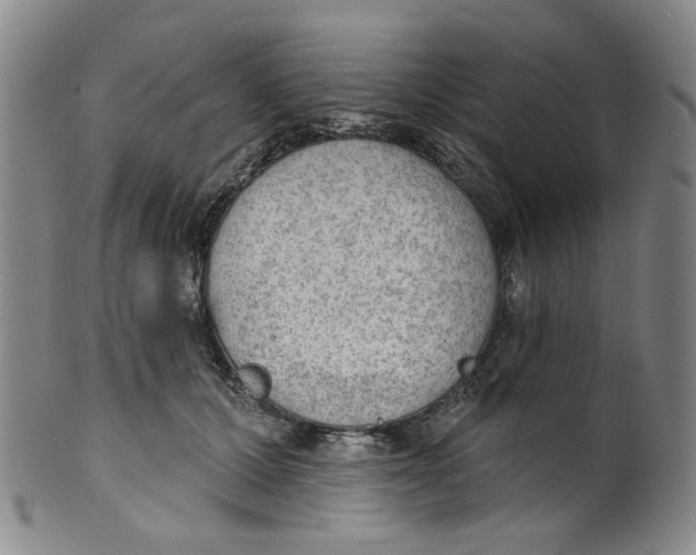 X0000100410607200806271445