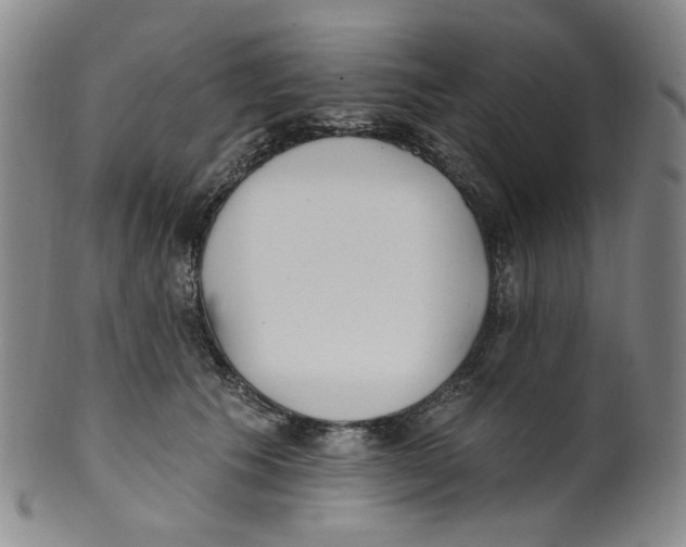 X0000100410609200806271445