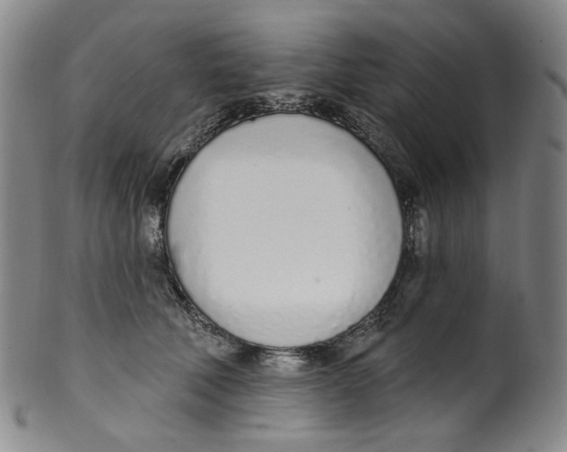 X0000100410610200806271445