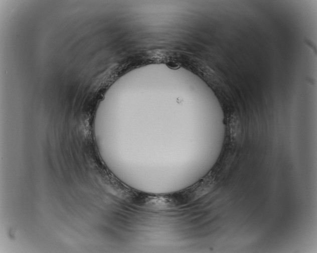 X0000100410611200806271445