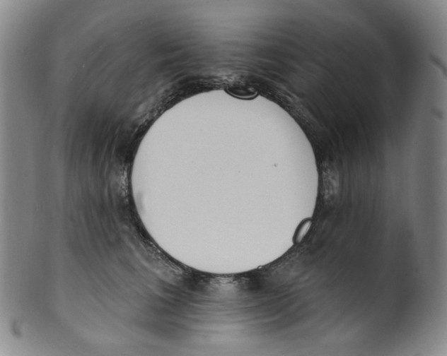 X0000100410613200806271445