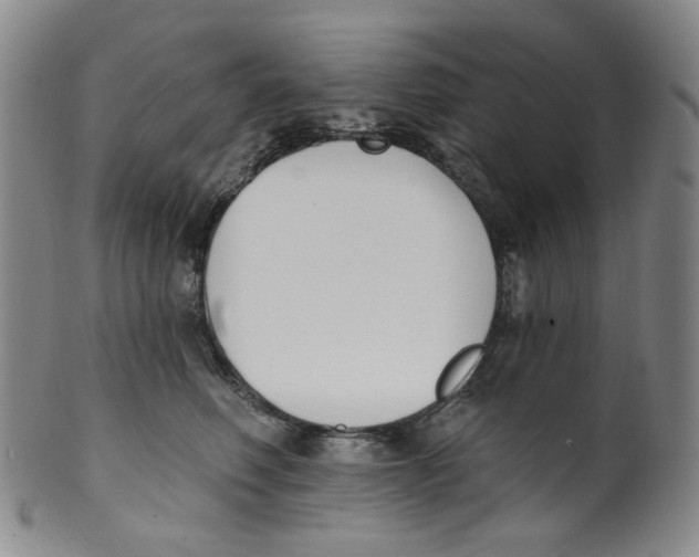 X0000100410614200806271445