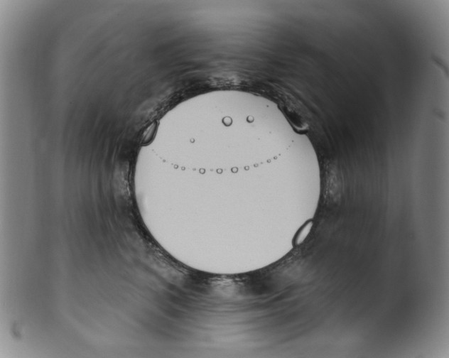 X0000100410616200806271445