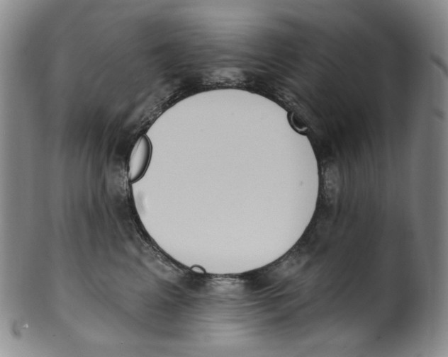 X0000100410617200806271445