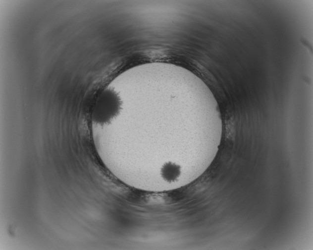 X0000100410618200806271445