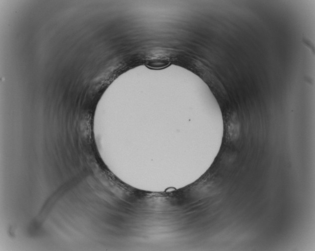 X0000100410620200806271445