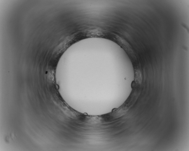 X0000100410621200806271445