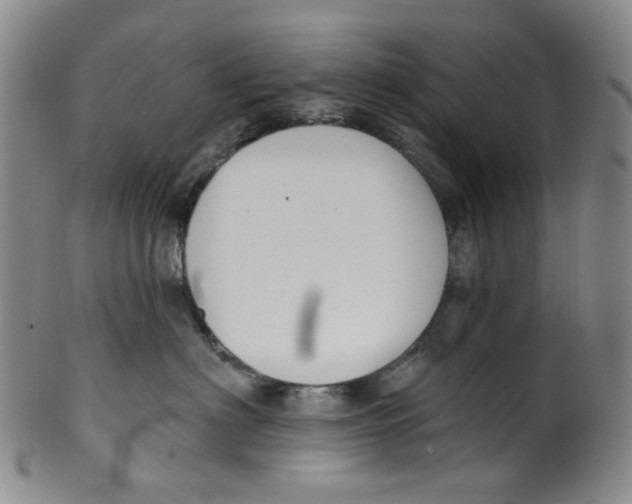 X0000100410622200806271445