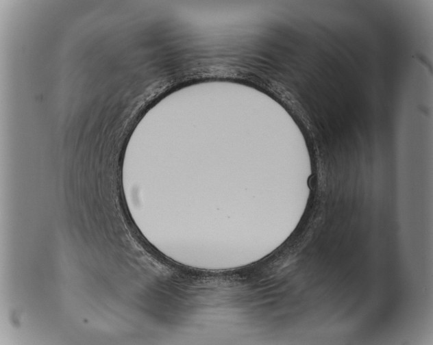 X0000100410625200806271444