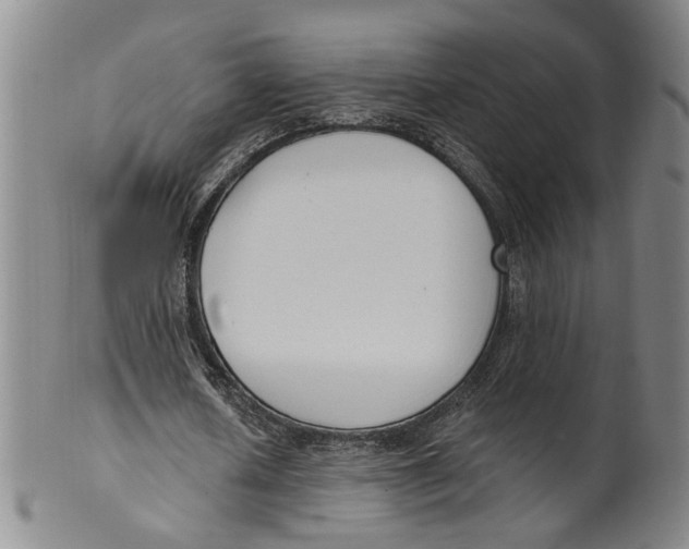 X0000100410626200806271444