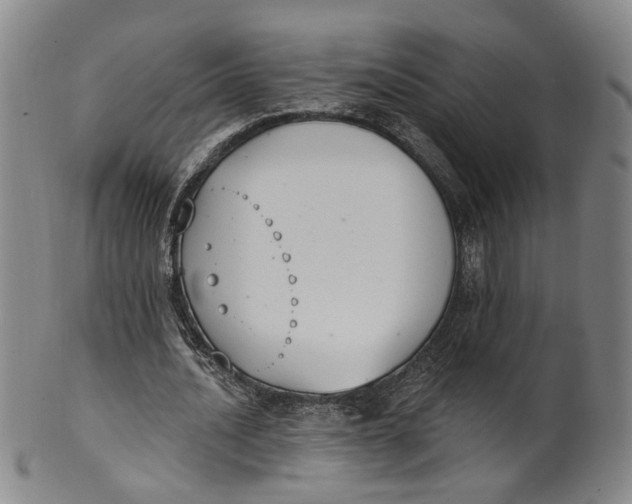 X0000100410628200806271444