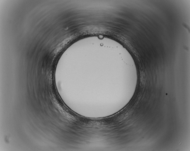 X0000100410629200806271444