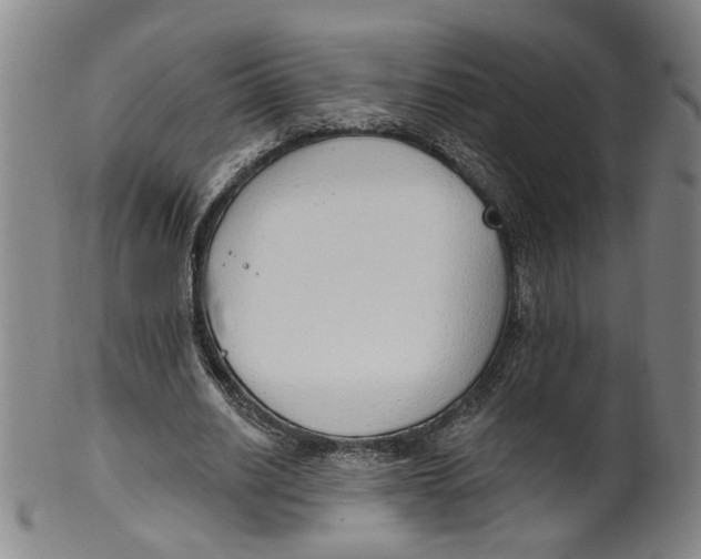 X0000100410630200806271444