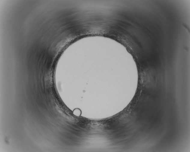 X0000100410632200806271444