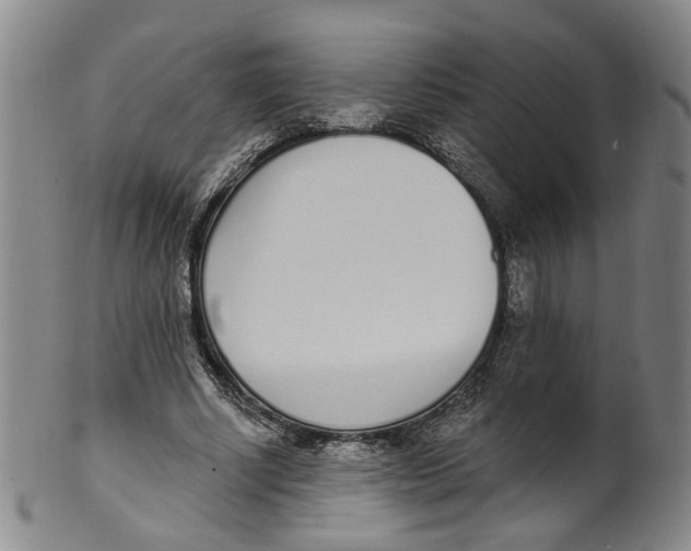 X0000100410634200806271444