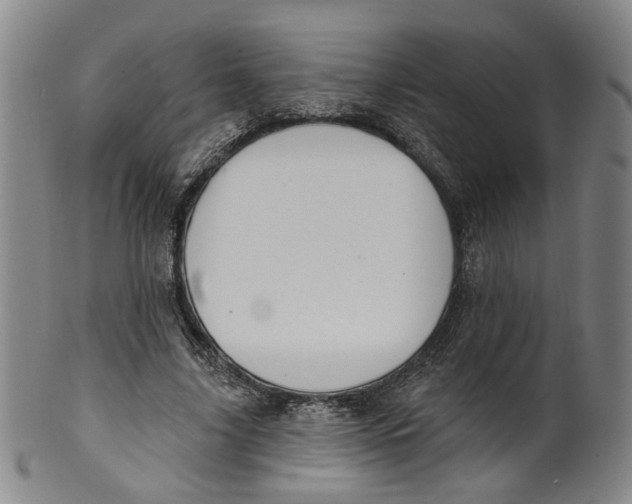 X0000100410635200806271444