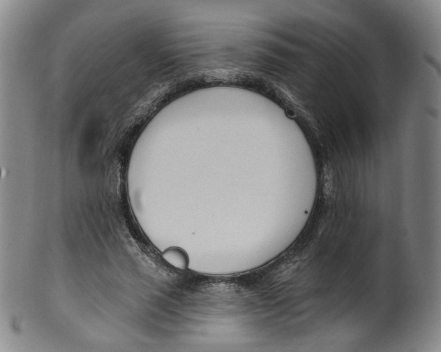 X0000100410637200806271444