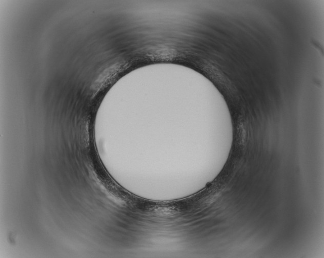 X0000100410638200806271444